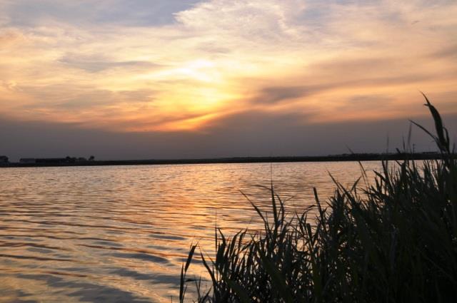 Doar ... NATURA - 4 - cnpc20-20ii20018resize1.jpg